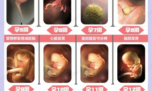 糖尿病人能吃构杞子吗网 | 构杞糖尿病可以吃吗,糖尿病人能吃构杞泡茶喝吧
